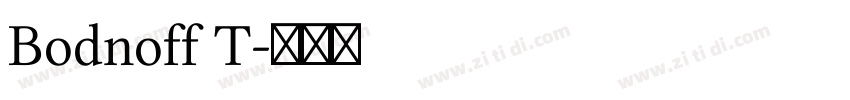 Bodnoff T字体转换
